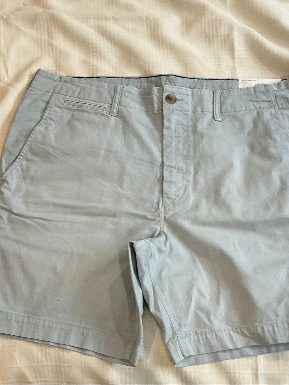 American Eagle Outfitters Light Blue Cotton Chino Shorts